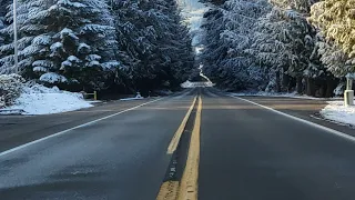 RIDING WITH A SPRIT ANIMAL @CRYSTAL MOUNTAIN WASHINGTON