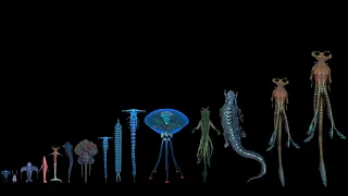 All Leviathan Class Organisms known yet on 4546B - (All leviathan size comparison)