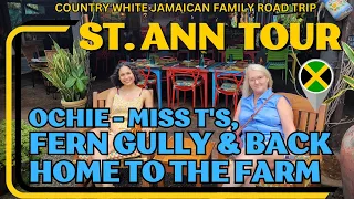 Exploring Jamaica -  Miss T's Ocho Rios, Fern Gully Flood Wata & My Old Farm in St. Ann