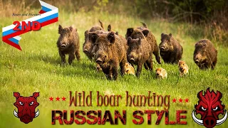 Wild boar hunting Russian style 2 - Best sniper shots on wild boar driven hunt