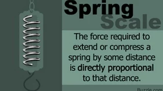 How Does a Spring Scale Work