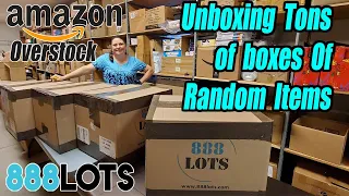 Unboxing these 4 Huge boxes from 888 Lots Amazon overstock - What did we get?!