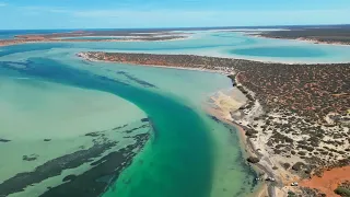 Monkey Mia, Francois Peron National Park, Western Australia.