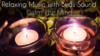 Relaxing Music with Birds Sound • Sleep Music, Meditation Music | Beautiful Music, Fall Asleep, Calm