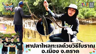 หาปลาไหลทะเลด้วยวิธีโบราณ อ.เมือง จ.ตราด | ตามอำเภอจาน | 21 พ.ค.67 Full EP