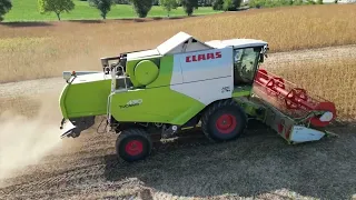 #2 Soja dreschen 2022 mit Claas Tucano 430 | GoPro | Kabinensicht