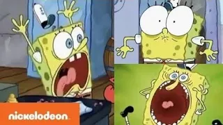 Spongebob Kanciastoporty | Kraboburgerowa paranoja | @NickelodeonPolska