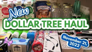 New DOLLAR TREE HAUL!  Annapolis, MD Stores!  November 21, 2022 #LeighsHome