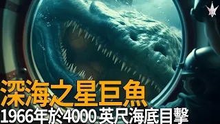 1966年美國「深海之星4000號」潛水艇於聖地牙哥海域水下4000英尺發現神秘巨大硬骨魚類，體型比潛水艇大兩倍以上，至今仍無法定義為何生物，硬骨魚之王利茲魚再現?