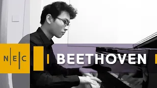 Beethoven's Complete Works for Piano: Part IX