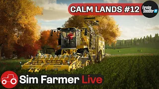 🔴 LIVE Harvesting Sugar Beets & Sunflowers - Calm Lands #12 Farming Simulator 22 Livestream
