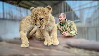 Мы добрались до Мариупольского зоопарка и идём скорее увидеть животных и ЧТО ИЗМЕНИЛОСЬ !