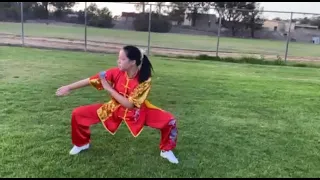 International Taiji Kung Fu Tournament Gold Medal - Nan Quan (Nan Fist)