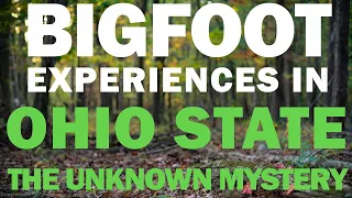 Bigfoot Experiences In Northeast Ohio | Afraid For My Pets (A Scientific Outlook On The Phenomenon)