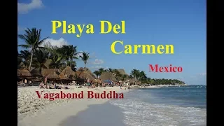 Playa Del Carmen Things to Do and Cost of Living