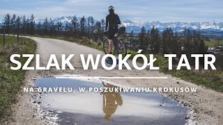 Bicycle TRAIL AROUND THE TATRA MOUNTAINS on gravel. We are looking for crocuses