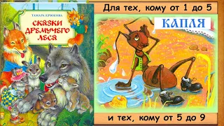 КАПЛЯ. ОБЛАКО. (Т. Крюкова. Сказки дремучего леса) - читает бабушка Лида