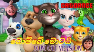 Bombe Motai (බොම්බේ මොටයි) | Tom Cat Dance #catdance #tomcat #bombemotai