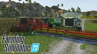 HARVESTING SORGHUM, SOYBEAN AND CORN SILAGE HARVEST | Farming Simulator 23 | Fs 23 | Timelapse