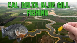 Delta Bluegill Fishing - Serious Slab Action - delta spooning