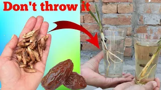 Don't throw it new method germinate dates seeds faster