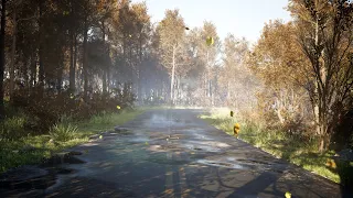 Unreal Engine 5 - Autumn Road - Lumen + Megascans