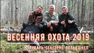 Весенняя охота ГЛУХАРЬ, СЕЛЕЗЕНЬ, ВАЛЬДШНЕП (май 2019г.)