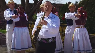 Felician Nicola - Saxofonistul Ardealului 🎷 - COLAJ Bihor pe picior