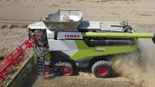 CLAAS LEXION 8700TT bei der Weizen Ernte in der Altmark 4K