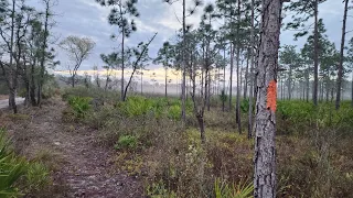 Florida Trail Okeechobee NOBO Day 10, Three Lakes Campsite to Tracy Branch Camp 3/7/2024