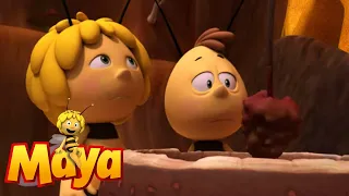 Barry's glasses - Maya the Bee - Episode 47