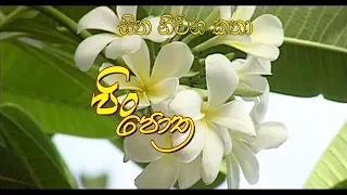 Sitha Niwana Katha -  Pin Potha (පිං පොත) | 2020-02-08 | Rupavahini Poya Drama