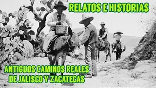 Relatos e historias de los antiguos caminos reales de Jalisco y Zacatecas contadas por mis abuelos