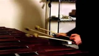 Peter Joseph playing Zeitgeist Addendum theme on marimba