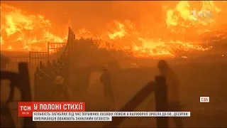 Лісові пожежі у Каліфорнії стали найбільшими за кількістю жертв за всю історію штату