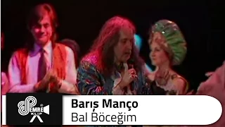 Barış MANÇO - Bal Böceği