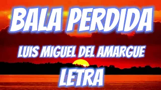 Luis Miguel del Amargue - Bala Perdida Letra #letra #luismigueldelamargue #bachata #lyrical