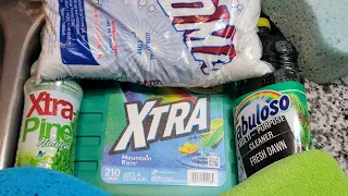 Xtra and Roma Laundry Mix with Xtra Pine and Pine Fabuloso! #floral_romagiveaway Added Foca as well!