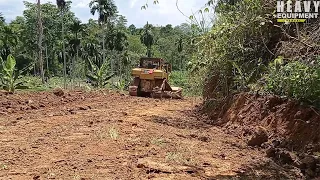 Excellent Work D6R XL Bulldozer Operator Smooths Plantation Roads in Villages