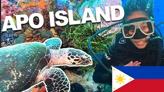 Scuba Diving in Apo Island (TURTLE ISLAND) - Philippines