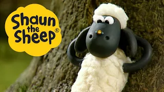 Buzz Off Bees | Shaun the Sheep | S1 Full Episodes