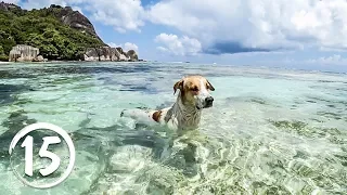 Остров Ла Диг, Сейшелы. Самый фотографируемый пляж в мире