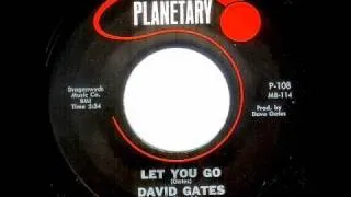 David Gates - LET YOU GO  (1965)
