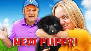 Surprising Dad With A $2000 Puppy! (😱Bad Idea!)