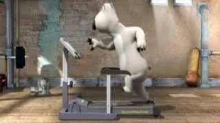 Polar Bear - Running Machine