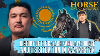 What qualities does the Kazakh horse possess? «King of Livestock». episode 3