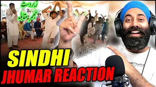 Sindhi Jhumar Bhangra | Indian Reaction | PunjabiReel TV