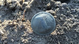 Metal Detecting - Huge Surprises from the "Union Camp"