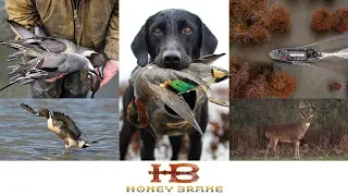 Best Duck Hunting In Louisiana | Honey Break Experience | Best Of Realtree 365