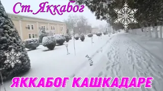 Яккабоғ Қашқадарё қор